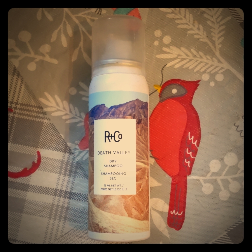 R+Co death valley dry shampoo
